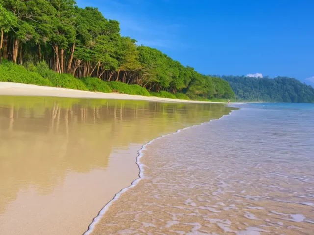 How to Plan a 5-Day Trip to Andaman?