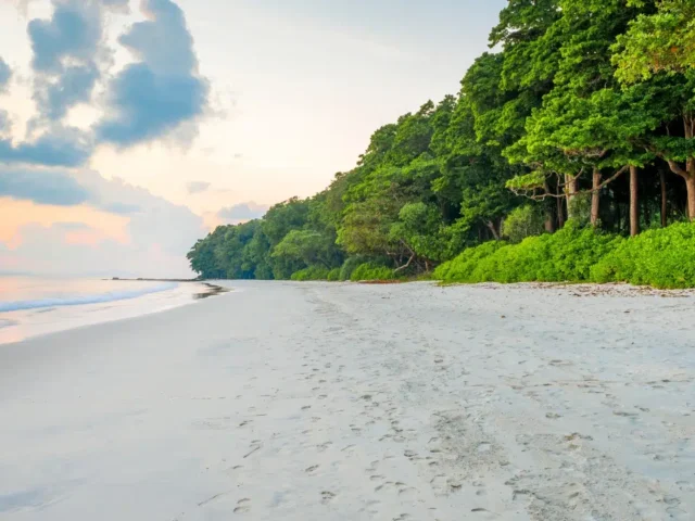 Andaman Tourism Guide 2025: Best Places, Experiences & Travel Tips for a Perfect Trip
