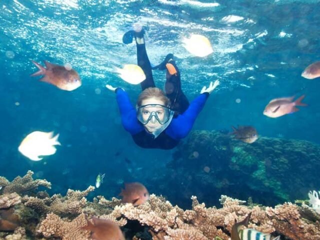 Explore North Bay Island – The Best Spot for Snorkeling & Coral Watching in Andaman