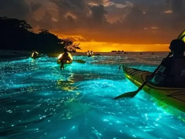 Explore the Magical Glowing Waters of Andaman
