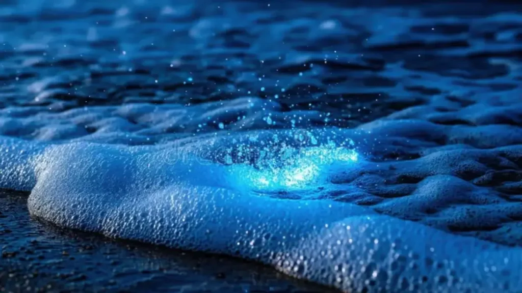 Glowing plankton in Havelock creating bioluminescence effect.