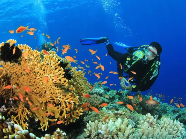 Sea Walk in Elephant Beach: Dive into Andaman’s Unique Underwater Adventure