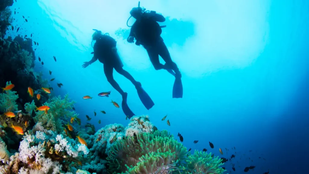 Snorkeling in North Bay Island Coral Reefs Andaman Nicobar