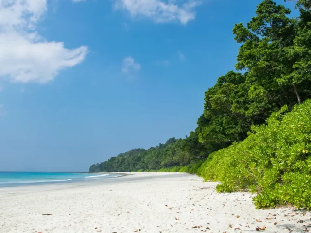 Explore the Famous Place of Andaman and Nicobar Islands – Your Ultimate Travel Guide