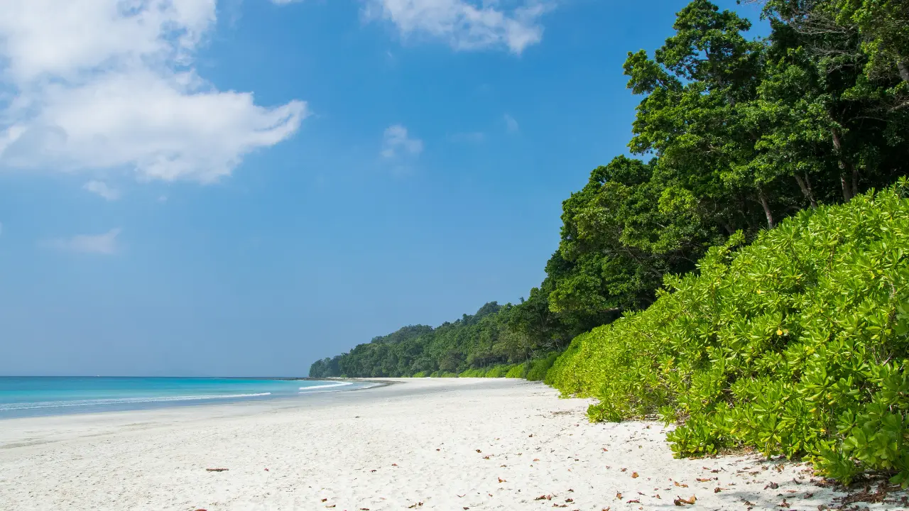 Indigenous Tribes Of Andaman And Nicobar Islands Andaman Indigenous Tribes Of Andaman And Nicobar Islands Andaman