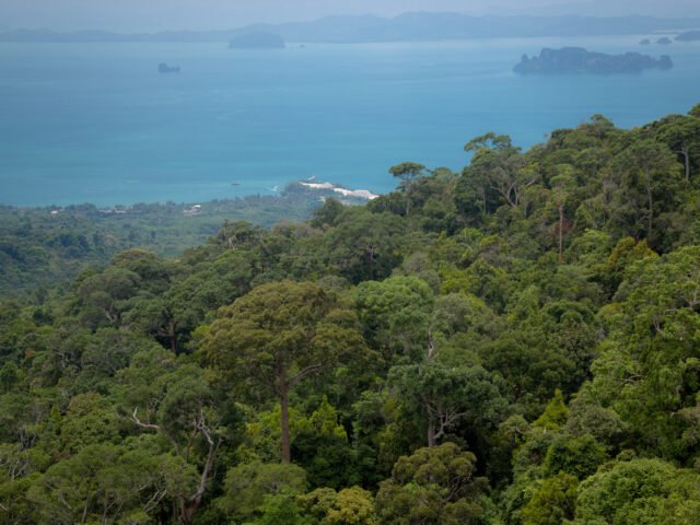 Explore the Lush Flora & Exotic Wildlife of Andaman!