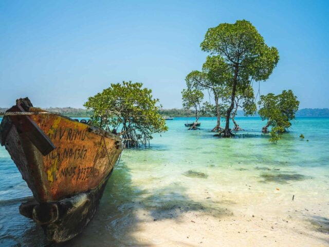 Why Andaman Love Is the Best Travel Agency in Andaman for Your Dream Vacation